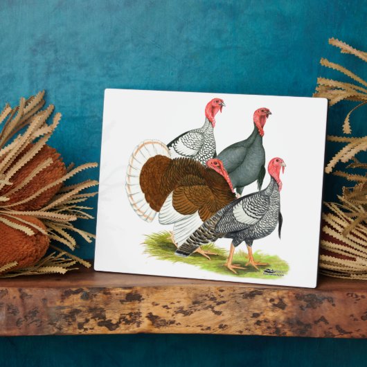 Rare Turkey Kwartet Fotoplaat (Zijkant)