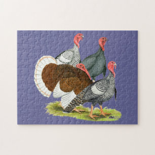 Rare Turkey Kwartet Legpuzzel