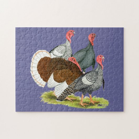 Rare Turkey Kwartet Legpuzzel (Horizontaal)