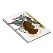 Rare Turkey Kwartet Notitieboek (Rechterzijde)