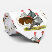 Rare Turkey Kwartet Stropdas (Opgerold)