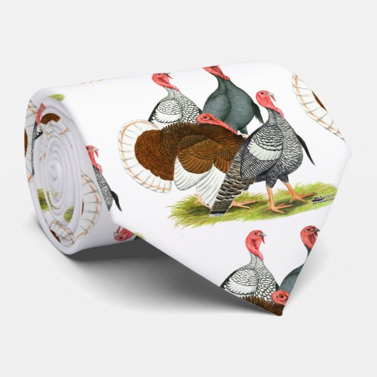 Rare Turkey Kwartet Stropdas (Opgerold)