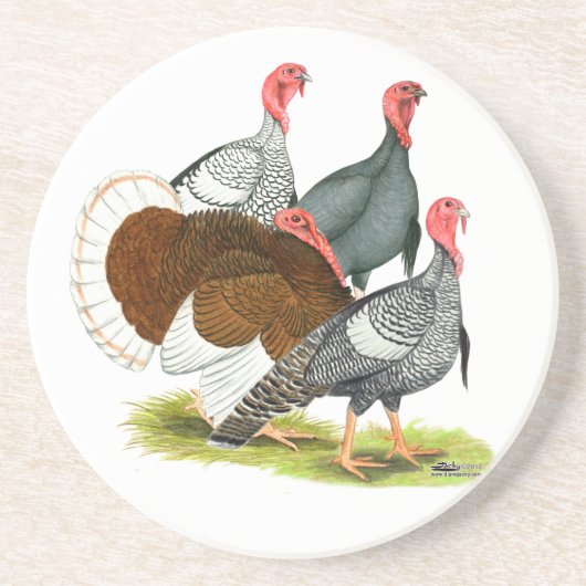 Rare Turkey Kwartet Zandsteen Onderzetter (Voorkant)
