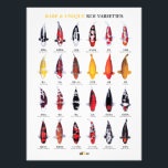 Rare & Unique Koi Varieties Poster<br><div class="desc">Celebrate the beauty of modern Japanese koi with this Rare & Unique Koi Varieties poster. This detailed chart features 24 distinctive Nishikigoi varieties, carefully illustrated and labeled with their Japanese and English names. Perfect for koi enthusiasts, pond keepers, aquascape lovers, and collectors, this artwork highlights rare and unusual koi such...</div>