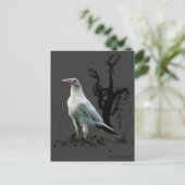 "Rare White Raven"-cadeautjes Briefkaart (Staand voorkant)