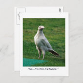 Rare White Raven Gifts Briefkaart (Voorkant / Achterkant)