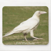 Rare White Raven Muismat (Voorkant)