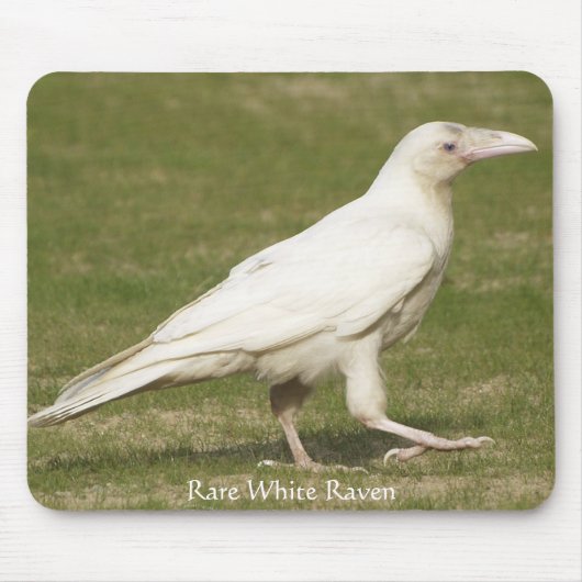 Rare White Raven Muismat (Voorkant)