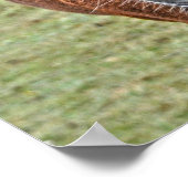 Rare Wild New Forest Palomino Pony Engeland Poster (Hoek)