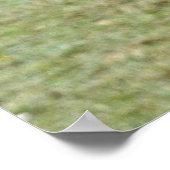 Rare Wild New Forest Palomino Pony Hampshire, Vere Poster (Hoek)