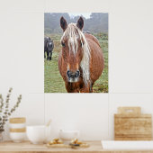 Rare Wild New Forest Palomino Pony Hampshire, Vere Poster (Keuken)