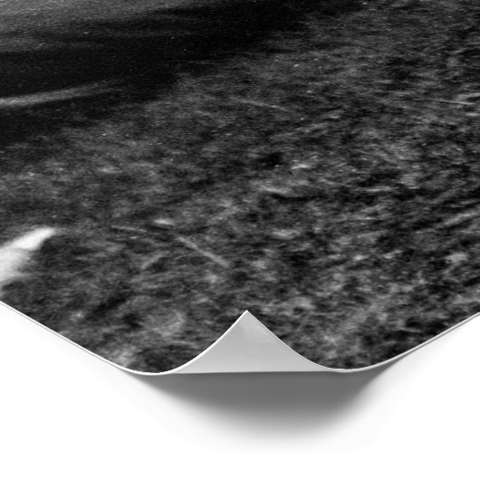 Rareback Girl: 1904 Poster (Hoek)