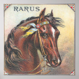 Rarus Racepaard Portret Poster
