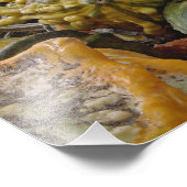 Ras Foto Afdruk (Hoek)