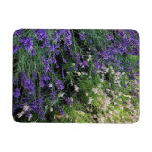 Ras Lavender Magneet (Horizontaal)
