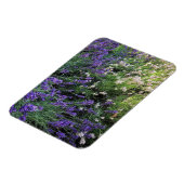 Ras Lavender Magneet (Linkerzijde)