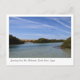 Ras Mohamed Natuur Preserve Park, Sinai, Egypte Briefkaart