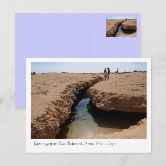 Ras Mohamed Natuur Preserve Park, Sinai, Egypte Briefkaart (Voorkant / Achterkant)