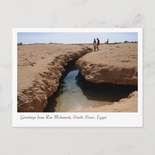Ras Mohamed Natuur Preserve Park, Sinai, Egypte Briefkaart (Voorkant)