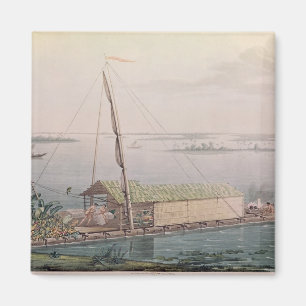 Ras op de Guayaquil Magneet