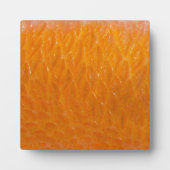 Rasbaars Fotoplaat (Voorkant)