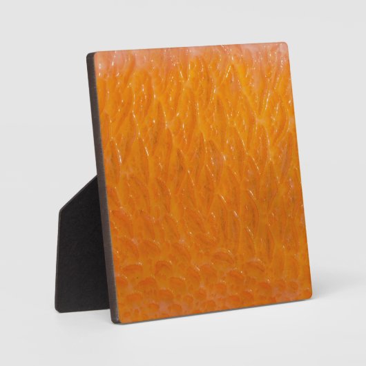 Rasbaars Fotoplaat (Voorkant)