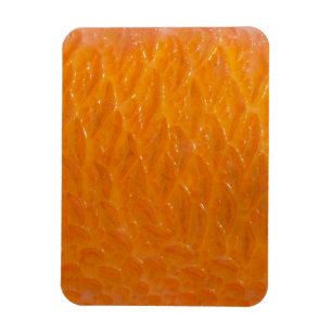Rasbaars Magneet