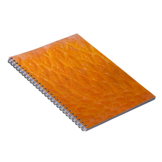 Rasbaars Notitieboek (Rechterzijde)