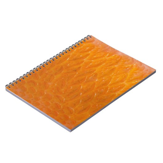 Rasbaars Notitieboek (Linkerzijde)