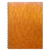 Rasbaars Notitieboek (Voorkant)