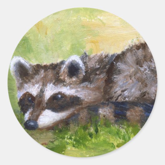 Rascal aceo Raccoon Sticker (Voorkant)