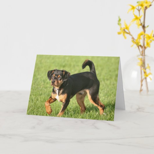 Rascal Kaart (Gele Bloem)