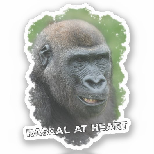 Rascal op het hart sticker (Voorkant)