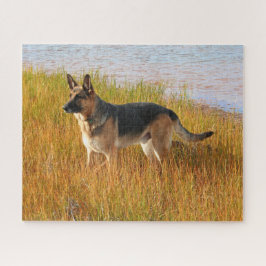rasechte Duitse herder Legpuzzel