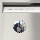 rasechte paardenmagneet magneet (Insitu (Vaatwasser))