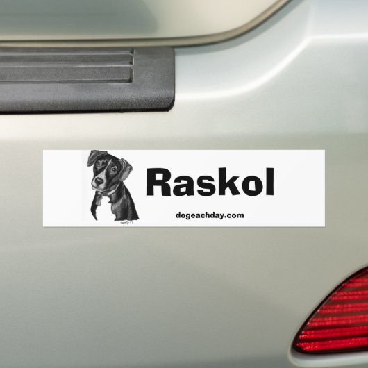raskol sticker (Op auto)