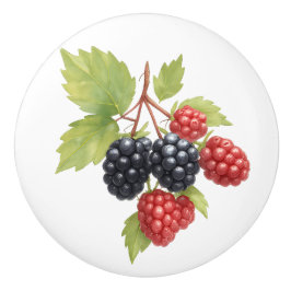 Raspberry Blackberry Fruit Illustratie Waterverf Keramische Knop