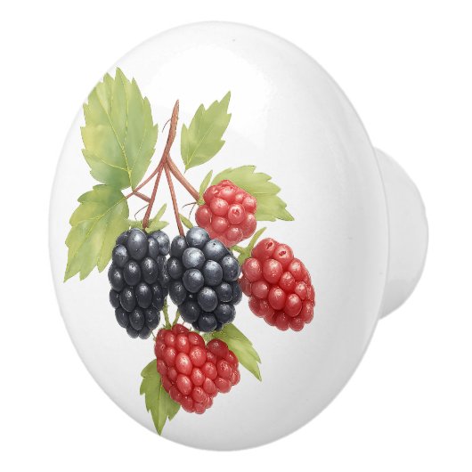 Raspberry Blackberry Fruit Illustratie Waterverf Keramische Knop (Rechts)