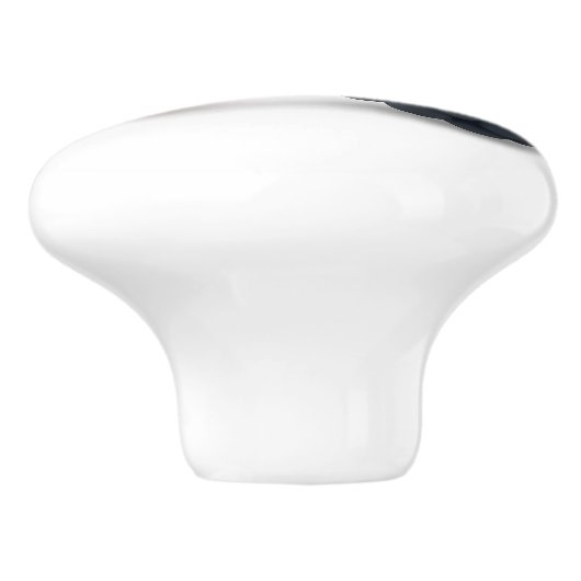 Raspberry Blackberry Fruit Illustratie Waterverf Keramische Knop (Zijkant)