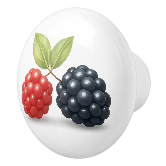 Raspberry Blackberry Fruit Illustratie Waterverf Keramische Knop (Rechts)