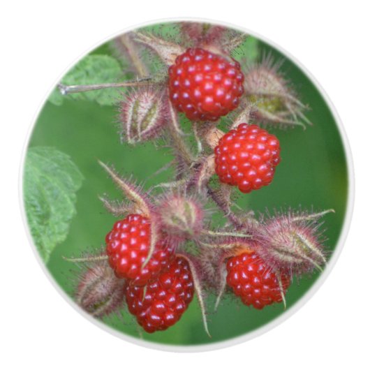 Raspberry Ceramic Knob. Keramische Knop (Voorkant)
