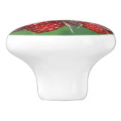 Raspberry Ceramic Knob. Keramische Knop (Zijkant)
