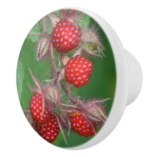 Raspberry Ceramic Knob. Keramische Knop (Rechts)
