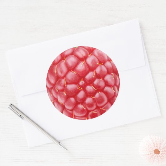 Raspberry close-up ronde sticker (Envelop)