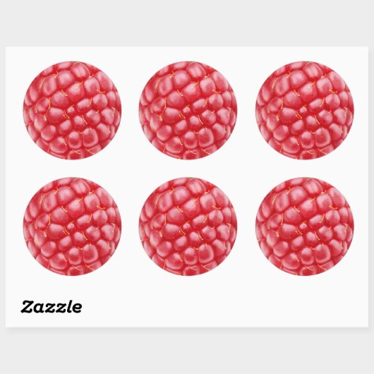 Raspberry close-up ronde sticker (Vel)