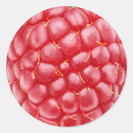 Raspberry close-up ronde sticker