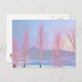 Raspberry Creme Birch Briefkaart (Voorkant / Achterkant)