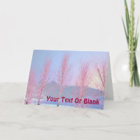 Raspberry Creme Birch