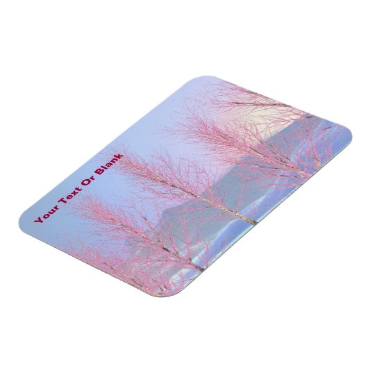 Raspberry Creme Birch Magneet (Linkerzijde)