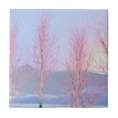 Raspberry Creme Birch Tegeltje (Voorkant)